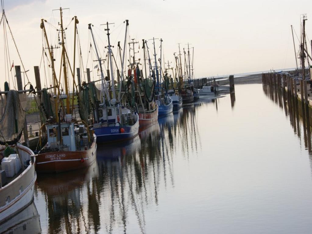 Hotel Restaurant Wattenschipper Nordholz Zewnętrze zdjęcie